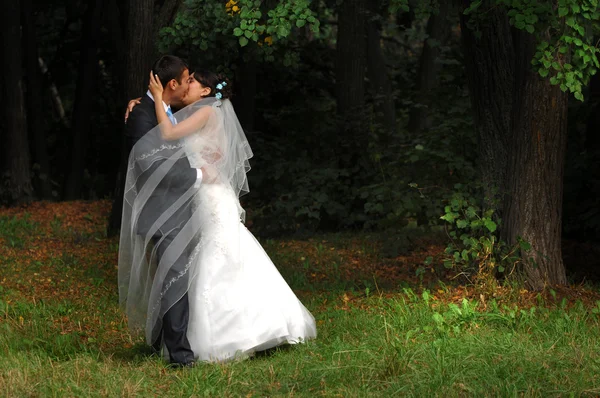 The wedding, two young men — Stock Photo, Image