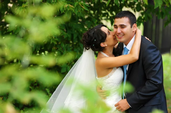 Die Hochzeit, zwei junge Männer — Stockfoto