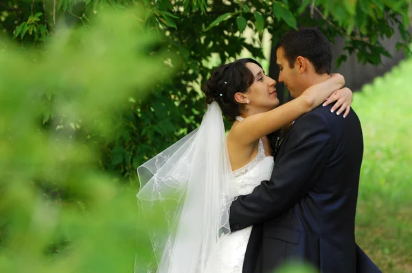 Il matrimonio, due giovani Immagine Stock