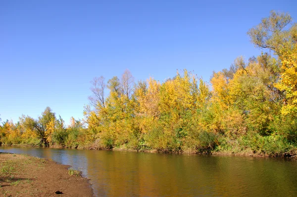 Río, arroyo , — Foto de Stock