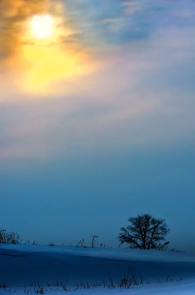 Pôr-do-sol — Fotografia de Stock