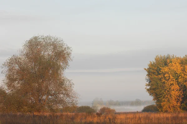 Autumn — Stock Photo, Image