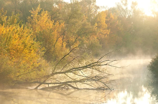 Autunno — Foto Stock