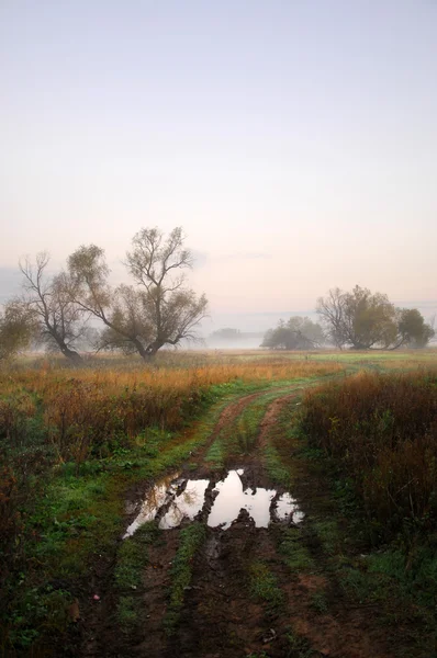 Podzimní mlha — Stock fotografie