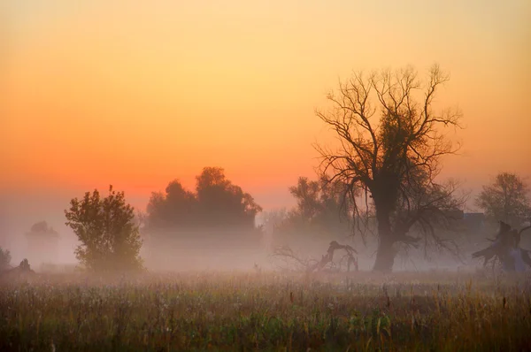 Autumn Mist — Stock Photo, Image