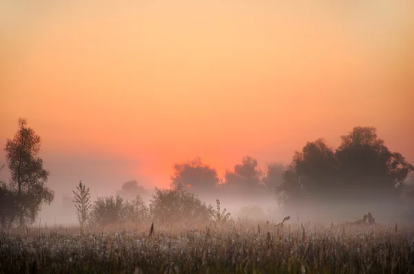 Herbstnebel — Stockfoto