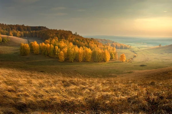 秋には、黄金の葉に素晴らしい時間暖かい日 — ストック写真