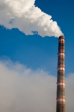 Merkez elektrik ısı chp