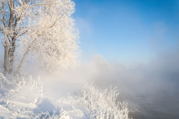 강 겨울 — 스톡 사진