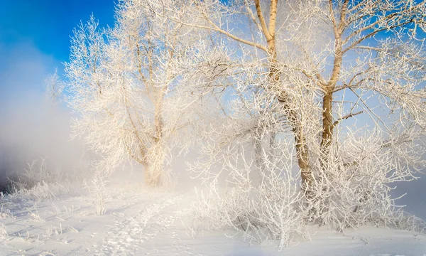 Río invierno —  Fotos de Stock