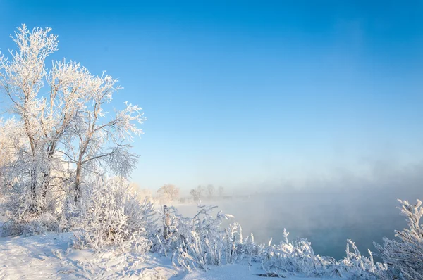 Flusswinter — Stockfoto