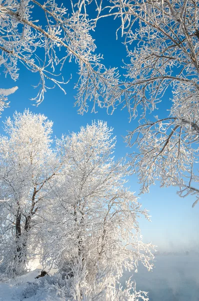 Inverno fluvial — Fotografia de Stock