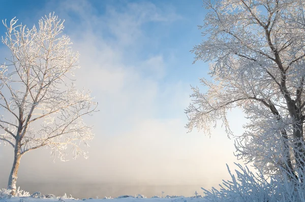 Flusswinter — Stockfoto