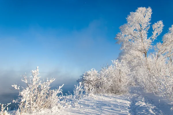 Rivier winter — Stockfoto