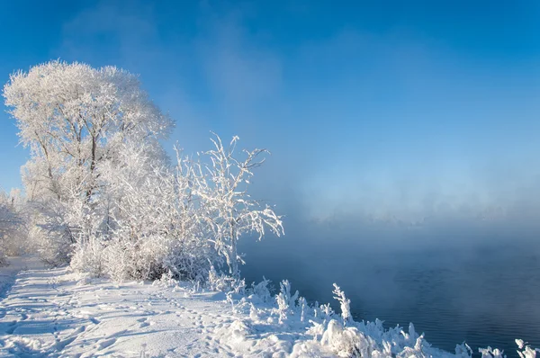 Fiume inverno — Foto Stock