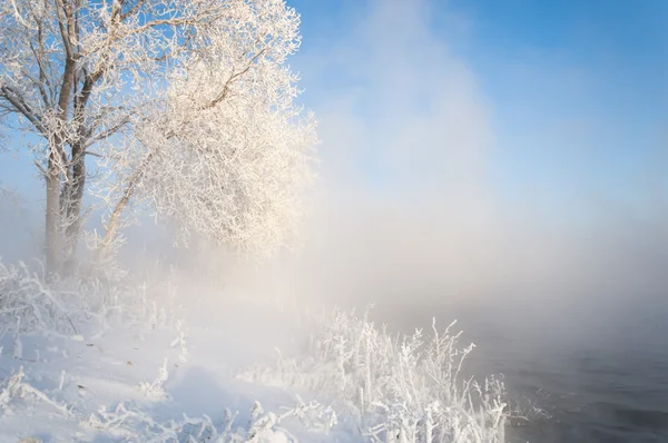 Inverno fluvial — Fotografia de Stock