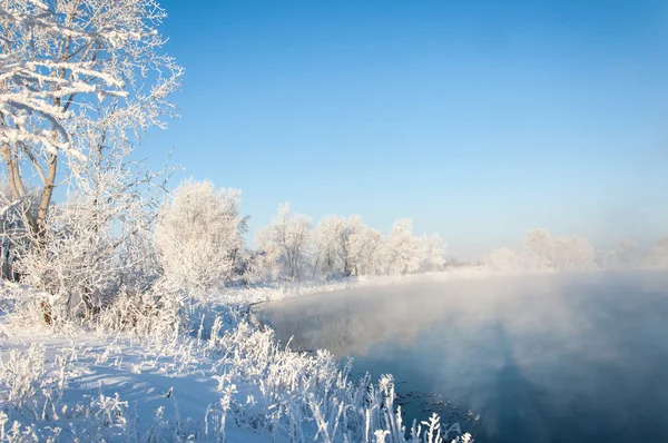 Rivière hiver — Photo