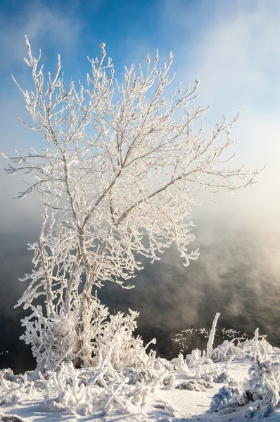Inverno fluvial — Fotografia de Stock