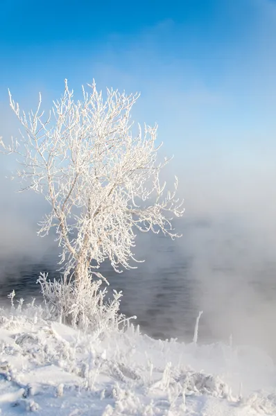 Ποταμού χειμώνα — Φωτογραφία Αρχείου