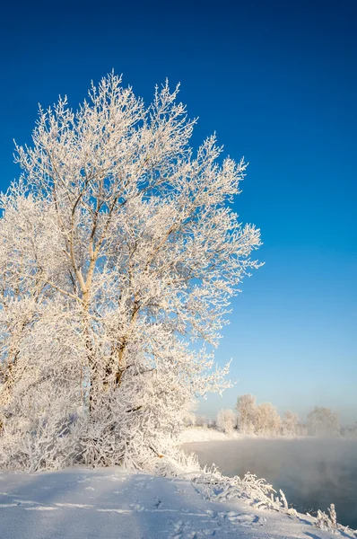 Río invierno — Foto de Stock