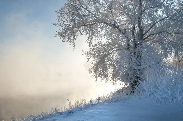 Rivier winter — Stockfoto