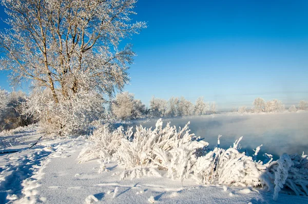 강 겨울 — 스톡 사진