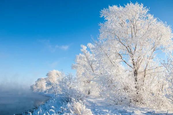 Río invierno —  Fotos de Stock