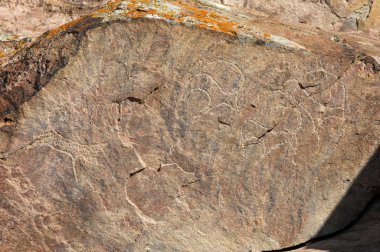 petroglifler Tamgalı tas