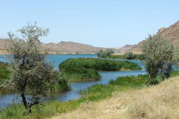 River Kazakhstan — Stock Photo, Image