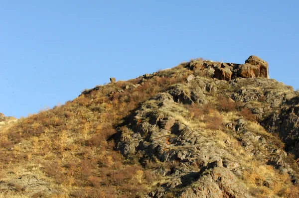 Felsen — Stockfoto