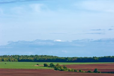 Bahar ağacı yaprakları olmadan