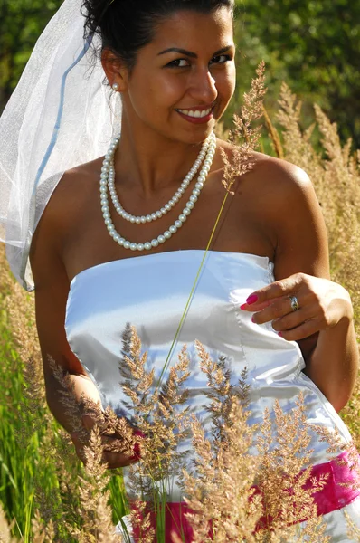 Wedding — Stock Photo, Image