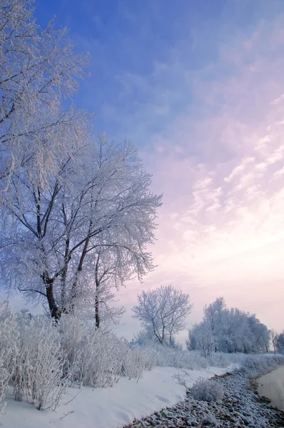 Floden vinter — Stockfoto