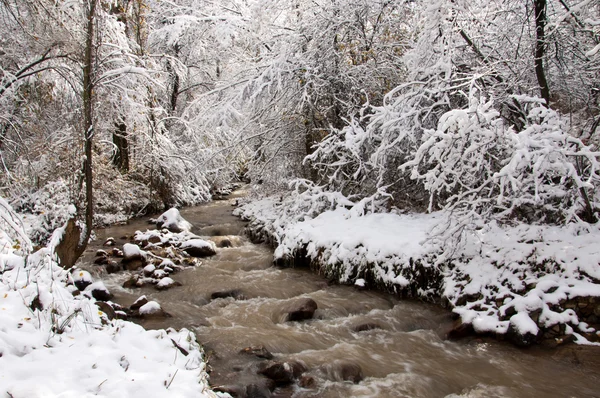 The river — Stock Photo, Image