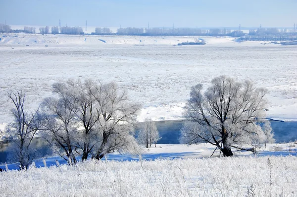 Rivier winter — Stockfoto