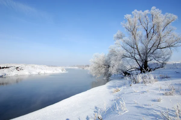 Rivier winter — Stockfoto