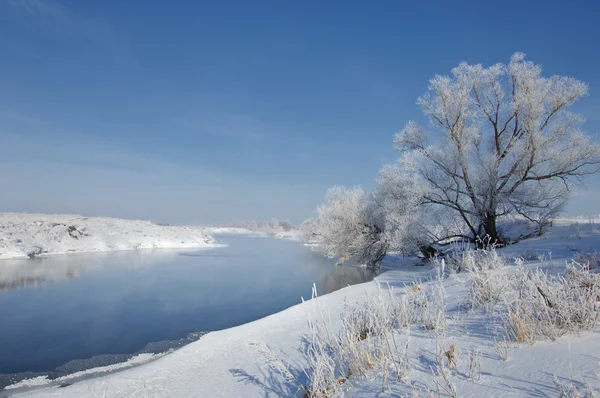 Rivier winter — Stockfoto