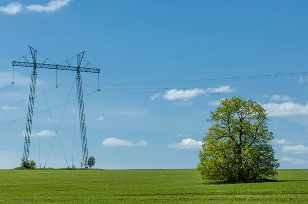 Электрический столб в поле и голубом небе — стоковое фото