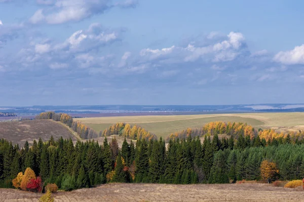 Ősz — Stock Fotó