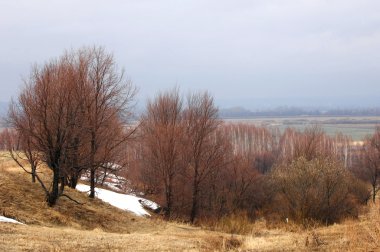 Bahar