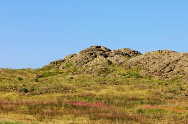 Steppe — Stockfoto