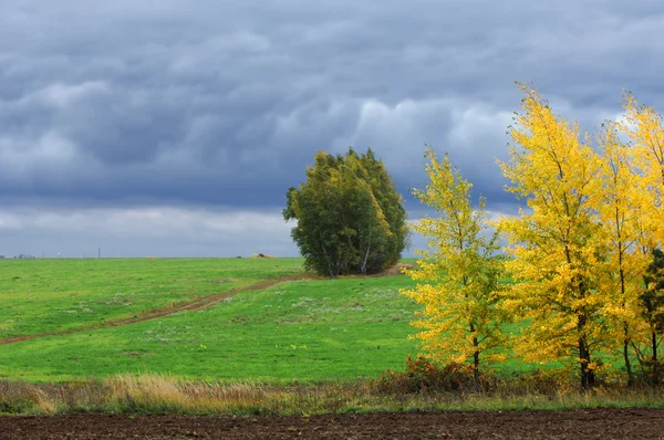 Höst — Stockfoto