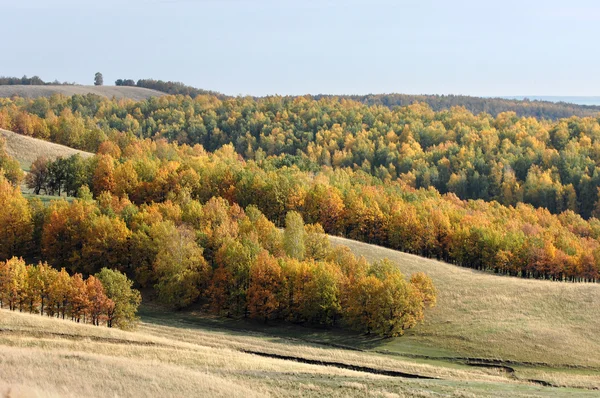 Herbst — Stockfoto