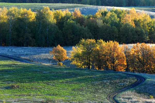 Herbst — Stockfoto