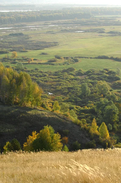 Autumn — Stock Photo, Image