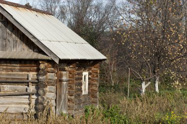 sonbahar Frost'un çim ve ağaçların üzerinde