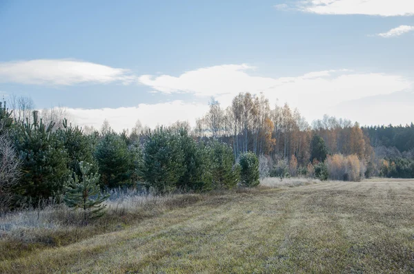 Herbstpark. hinteres Ende. — Stockfoto