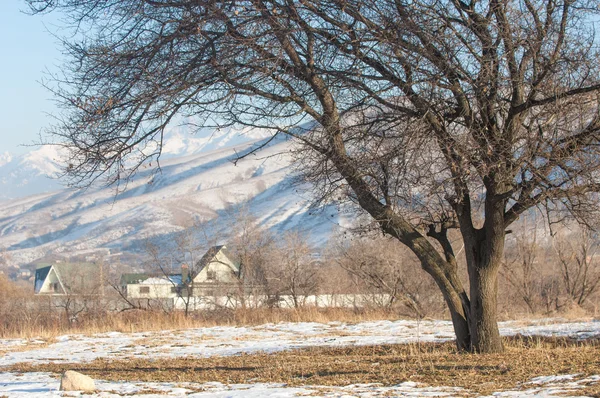 Wüstenwinter — Stockfoto