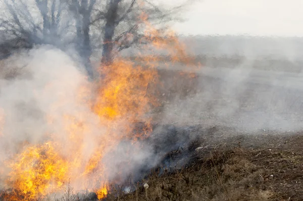 Fuego fuego ardiente — Foto de Stock