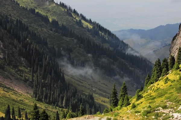 Berge — Stockfoto